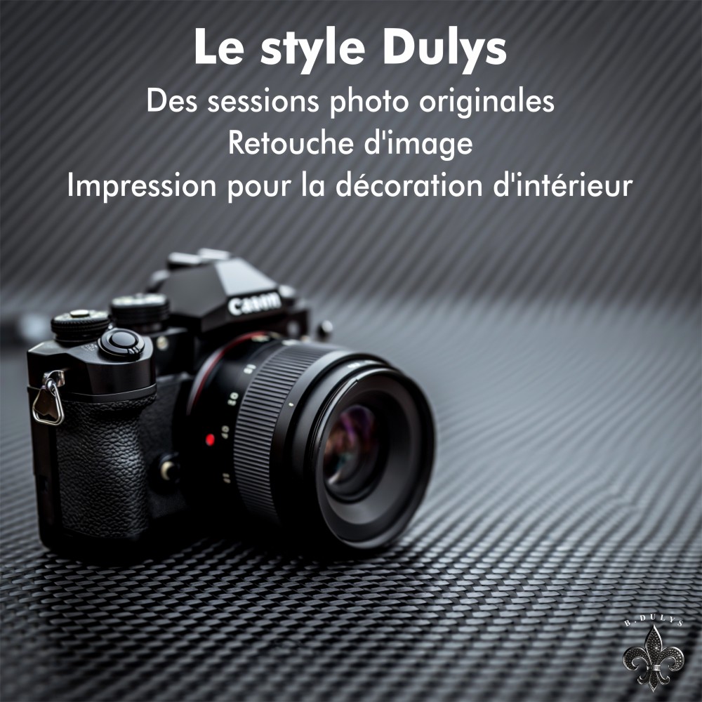 Le style Dulys<br>Des sessions photo originales<br>Retouche d'image<br>Impression pour la décoration d'intérieur
